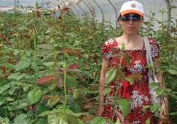 'Kesme Çiçek' projesine destek