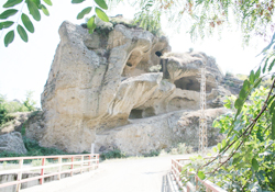 Tekkeköy'ü dünyaya tanıtacağım