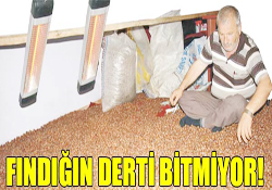 FINDIĞIN DERTİ BİTMİYOR!