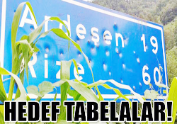 HEDEF TABELALAR