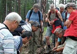 İsviçreli botanikçilerden doğa yürüyüşü