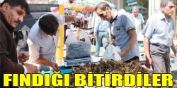 FINDIĞI BİTİRDİLER