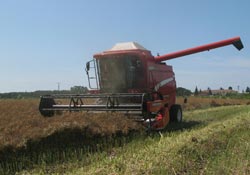 'Kolza yağı için tereddüt etmeyin'