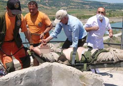 Tinerden zehirlendiler