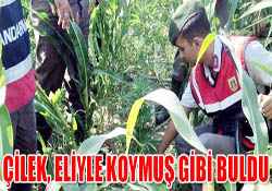 Çilek, eliyle koymuş gibi buldu
