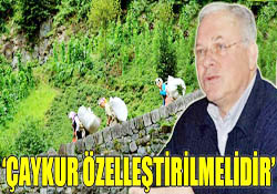 ÇAYKUR ÖZELLEŞTİRİLMELİDİR