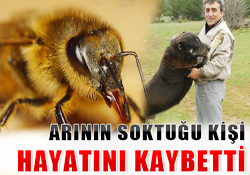 Arının soktuğu kişi hayatını kaybetti