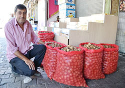 Cevizin fendi, bademi yendi