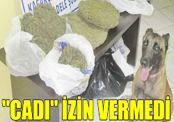 CADI İZİN VERMEDİ