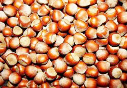 Manipülasyon araştırması