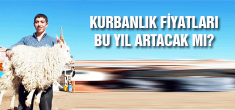 Kurbanlık fiyatları bu yıl artacak mı?