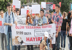Sevgide bile birleşemediler
