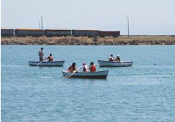 Samsun, sahile aktı