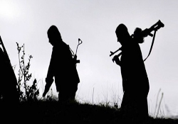 PKK, Ak Parti İl Başkanını serbest bıraktı