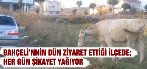 HERGÜN ŞİKAYET YAĞIYOR
