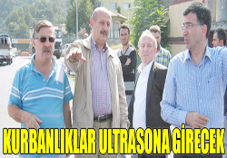 KURBANLIKLAR ULTRASONA!