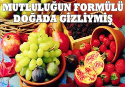 Mutluluğun formülü burada gizliymiş