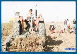 7 Kasım'a kadar bankaya başvurun