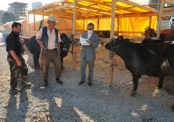 Kurbanlıklar sıkı denetim altında