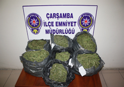 Kıskıvrak yakalandılar