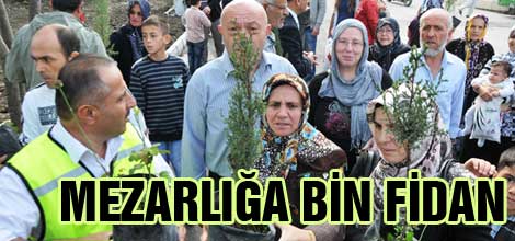 Mezarlığa bin fidan