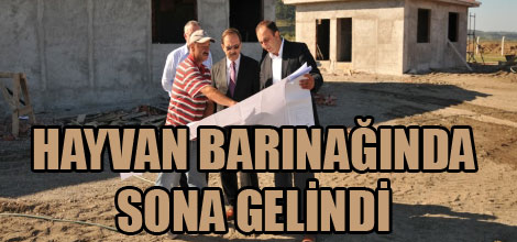 Hayvan Barınağında sona gelindi