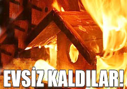 Evsiz kaldılar