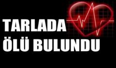 Tarlada ölü bulundu
