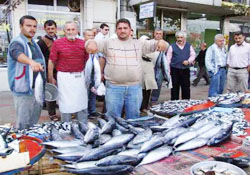 Sakız parasına palamut