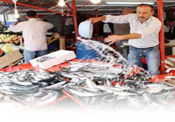 Balıkçıdan bir iyi bir de kötü haber