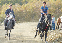 Rahvan atlarının yarışı nefes kesti