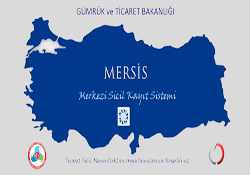 Şirket kurma elektronik ortama taşınıyor