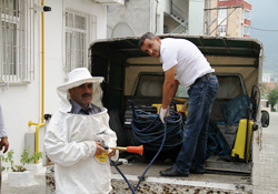 Hastaneyi arılar bastı