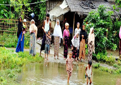 İİT Rohingyalılar için toplanacak