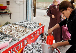 Balık bolluğu nereden geliyor?