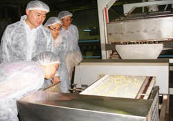 Çinliler fındığı inceledi