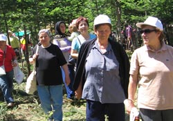 Doğa harikası Yakakent