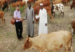 Muhtaçlar Cansuyu'yla güldü