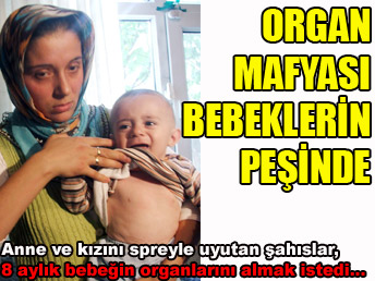 Organ mafyası bebeklerin peşinde...