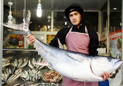 Balıkçının orkinos sevinci