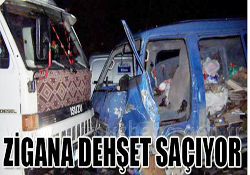 ZİGANA DEHŞET SAÇIYOR
