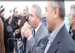 Burada balıklar beleş!