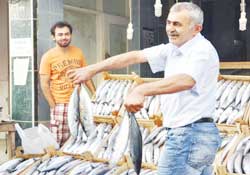 Palamut sezonu bitiyor, fiyatlar yükseliyor