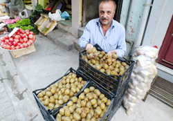 Kivi tezgahta yerini aldı