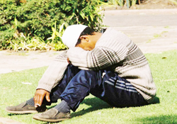 İşsiz cenneti Samsun