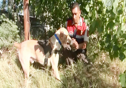 Can ve mal güvenliğimizi onlara da borçluyuz