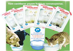 Hayvan dostu başkan