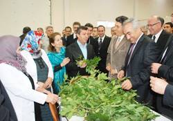 KURUTMA TESİSİ TÖRENLE AÇILDI