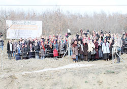 Ak Kadınlar ormanı oluşturuldu