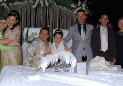 Canik tesislerinde muhteşem düğün